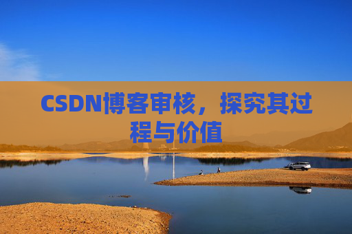 CSDN博客审核，探究其过程与价值